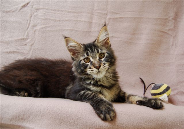 youp gaga en nina week 15 008.jpg